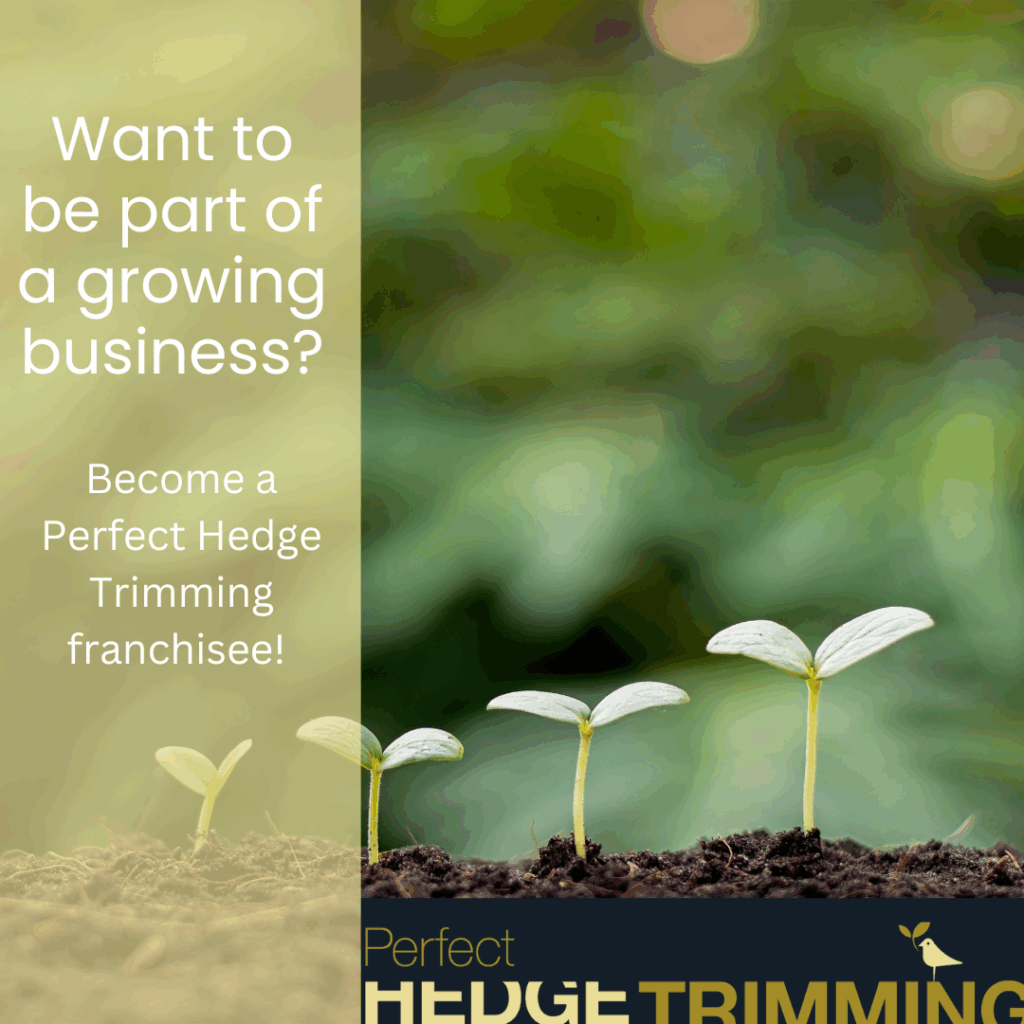 Perfect hedge Trimming social post